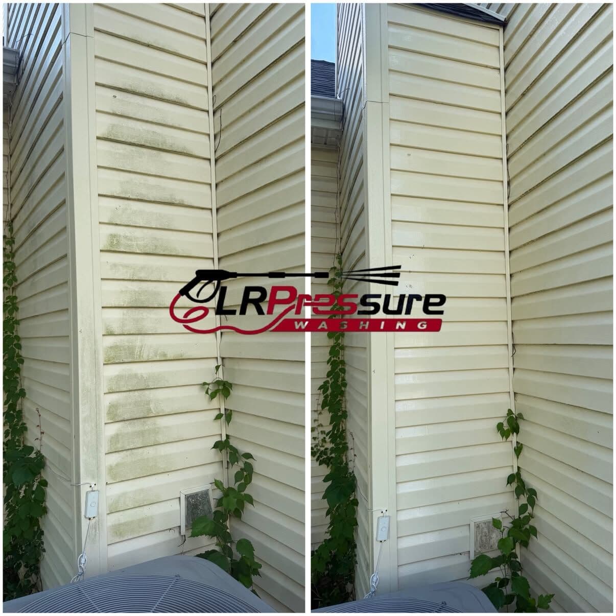 Vinyl Siding Wash Removes Years of Green Mold Buildup