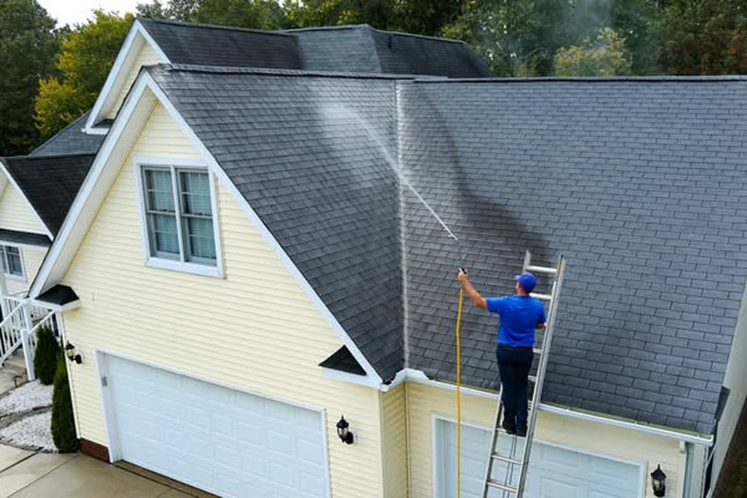 Roof Washing image